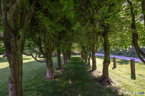 35 Sill Lane Old Lyme CT 06371