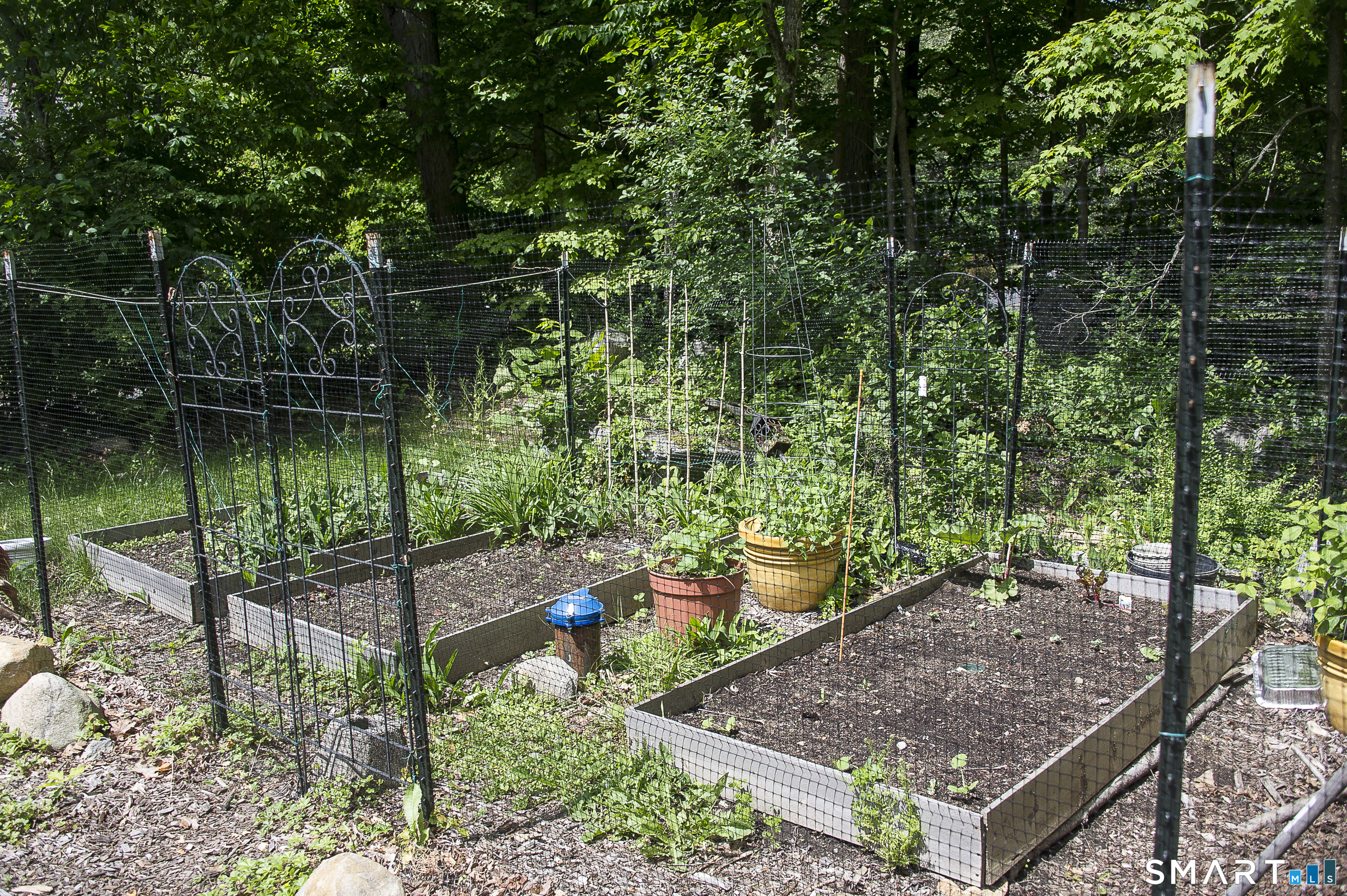 13 Webb Road Naugatuck CT 06770