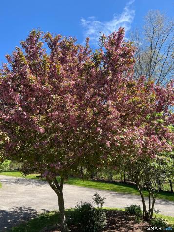 246 E Middle Patent Road Greenwich CT 06831