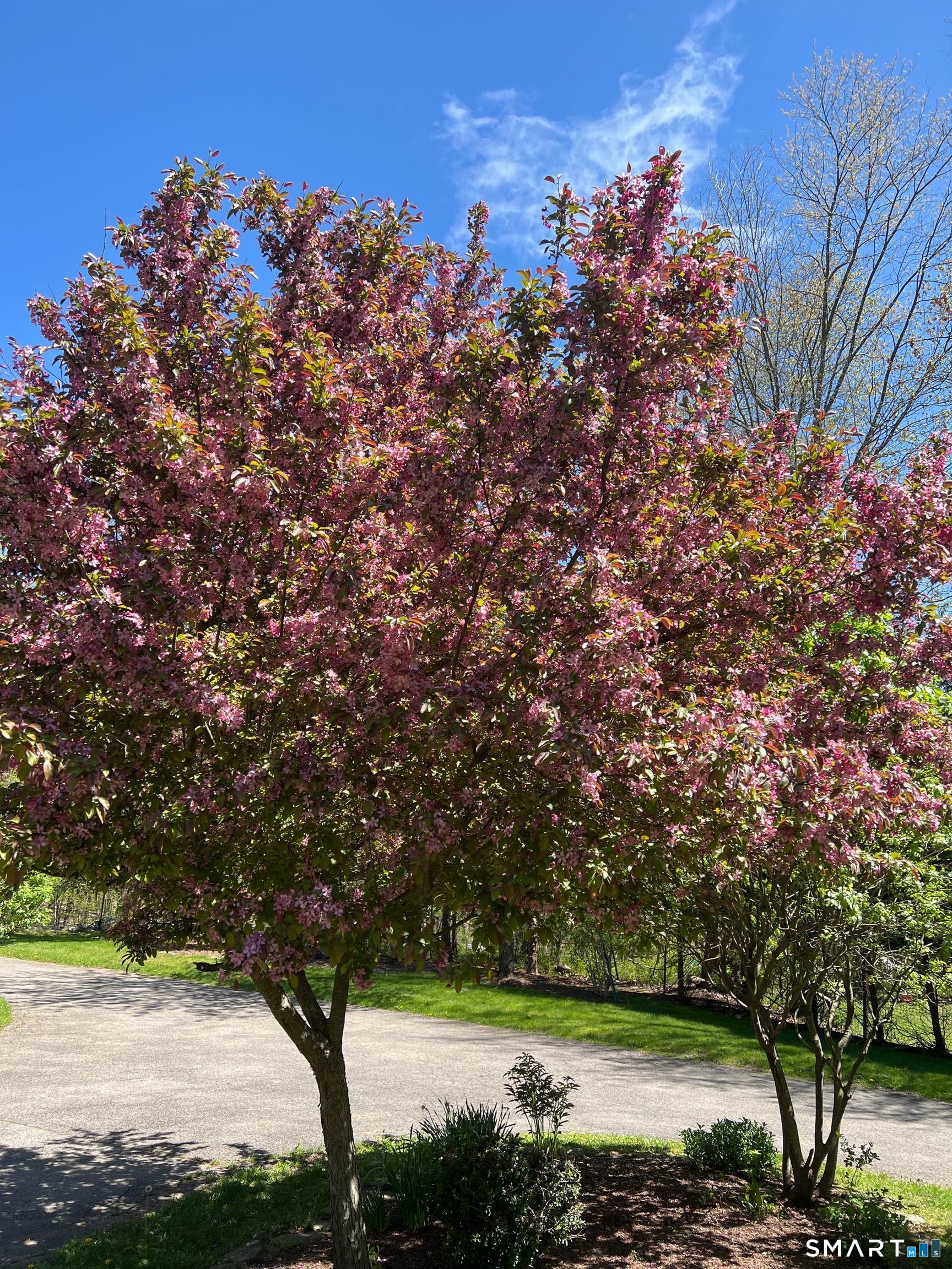 246 E Middle Patent Road Greenwich CT 06831