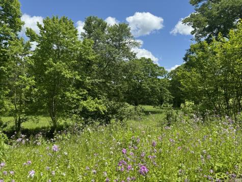 16 Orchard Lane Washington CT 06793