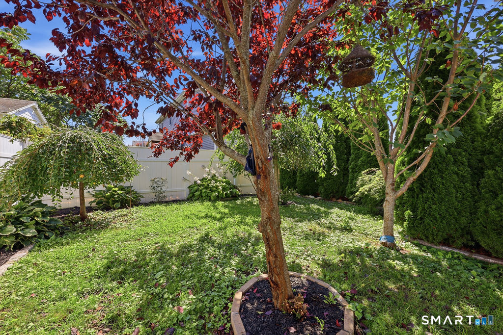 31 Center Avenue East Haven CT 06512