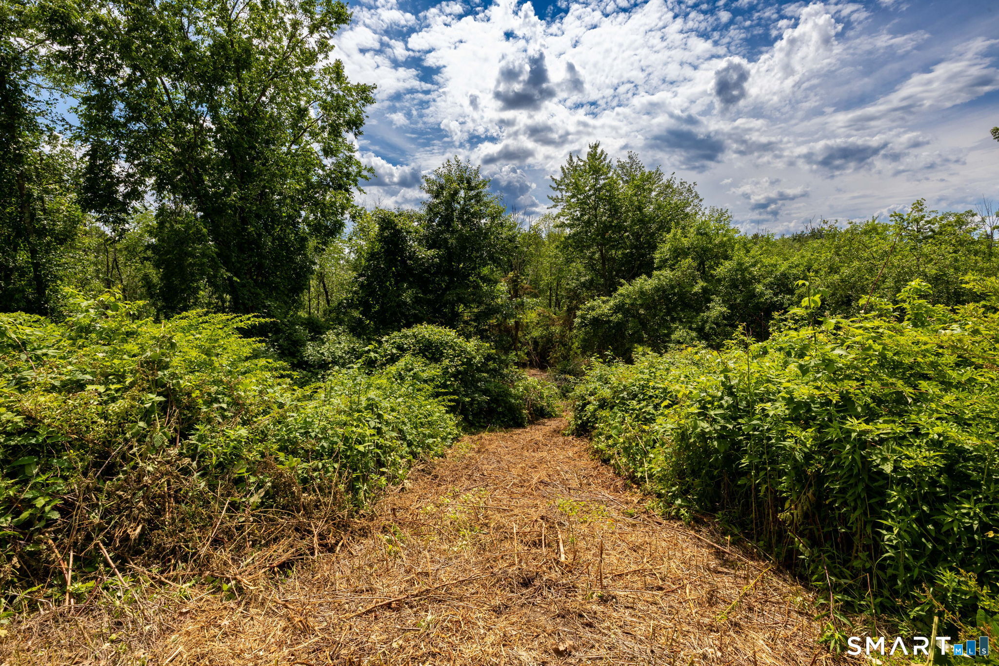 212 Old South Road Litchfield CT 06759