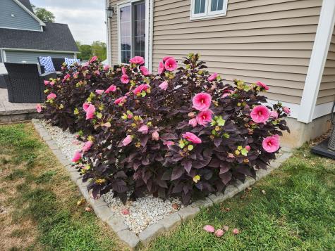 63 Gould Lane Branford CT 06405