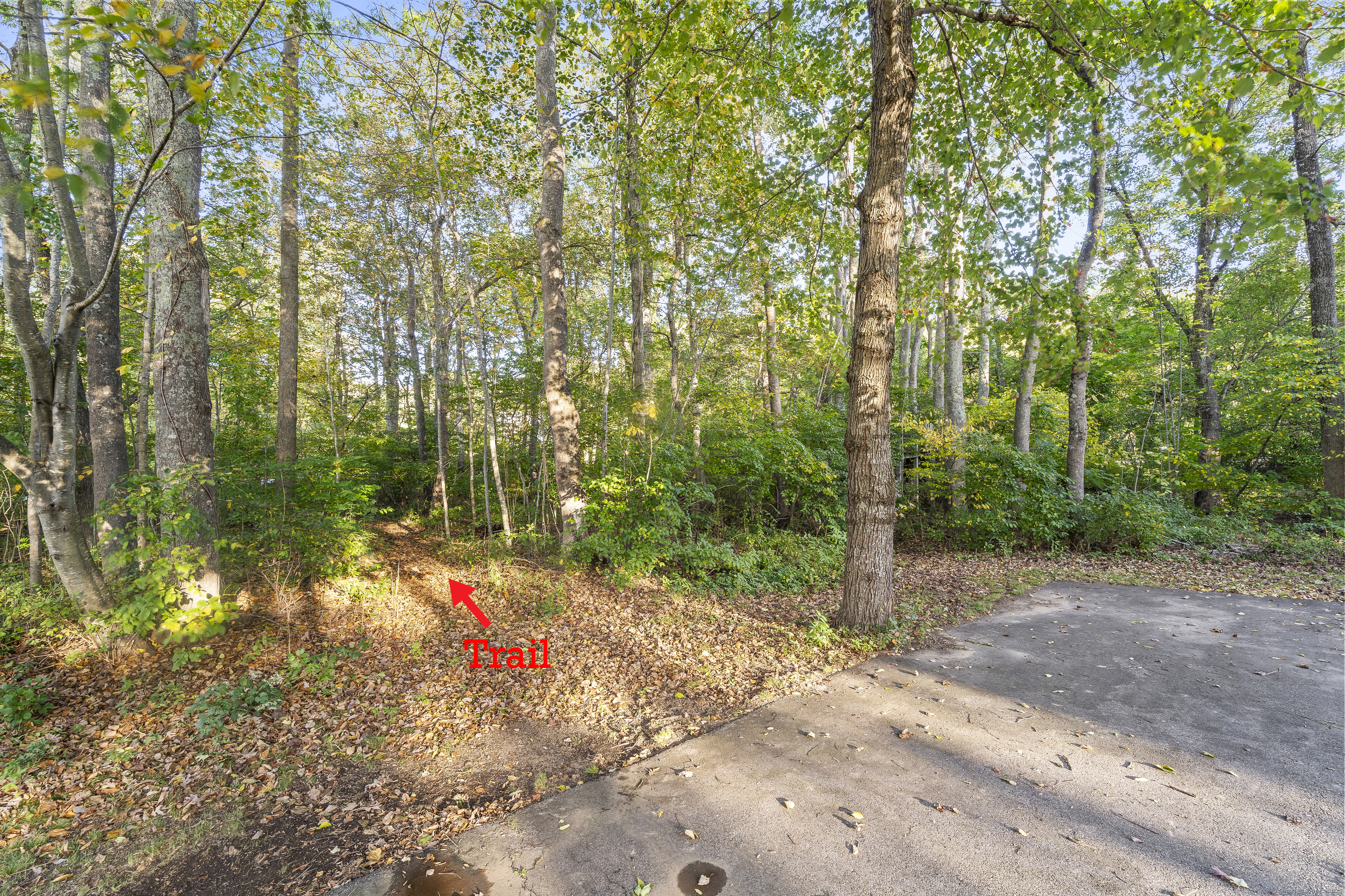 19 Esther Lane Colchester CT 06415