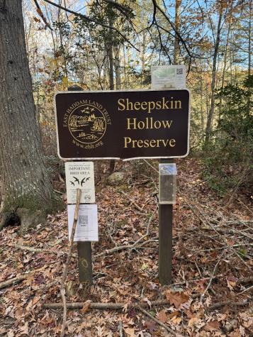 206 Sheepskin Hollow Road East Haddam CT 06423