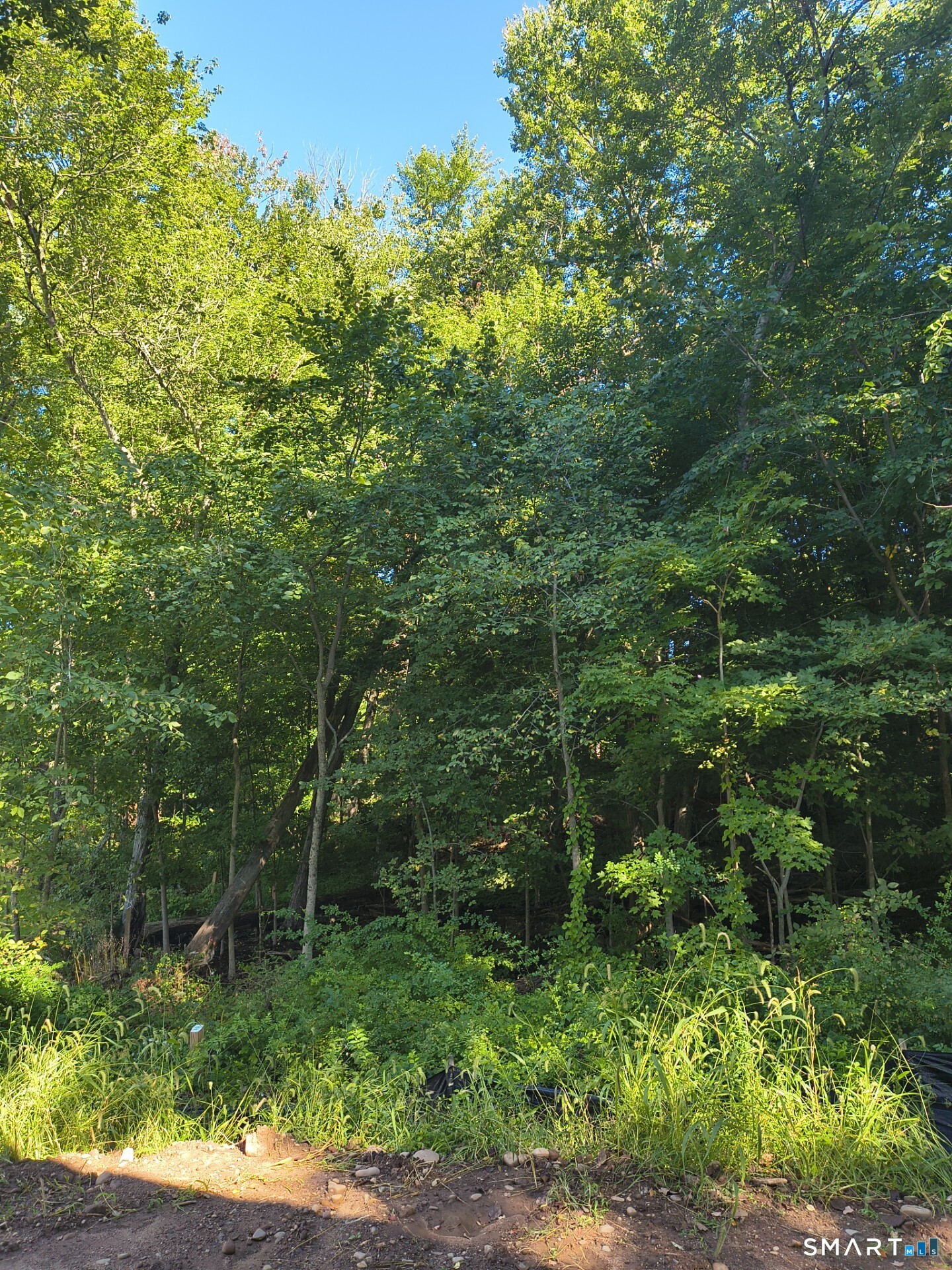 6 Mt Sanford Road Cheshire CT 06410