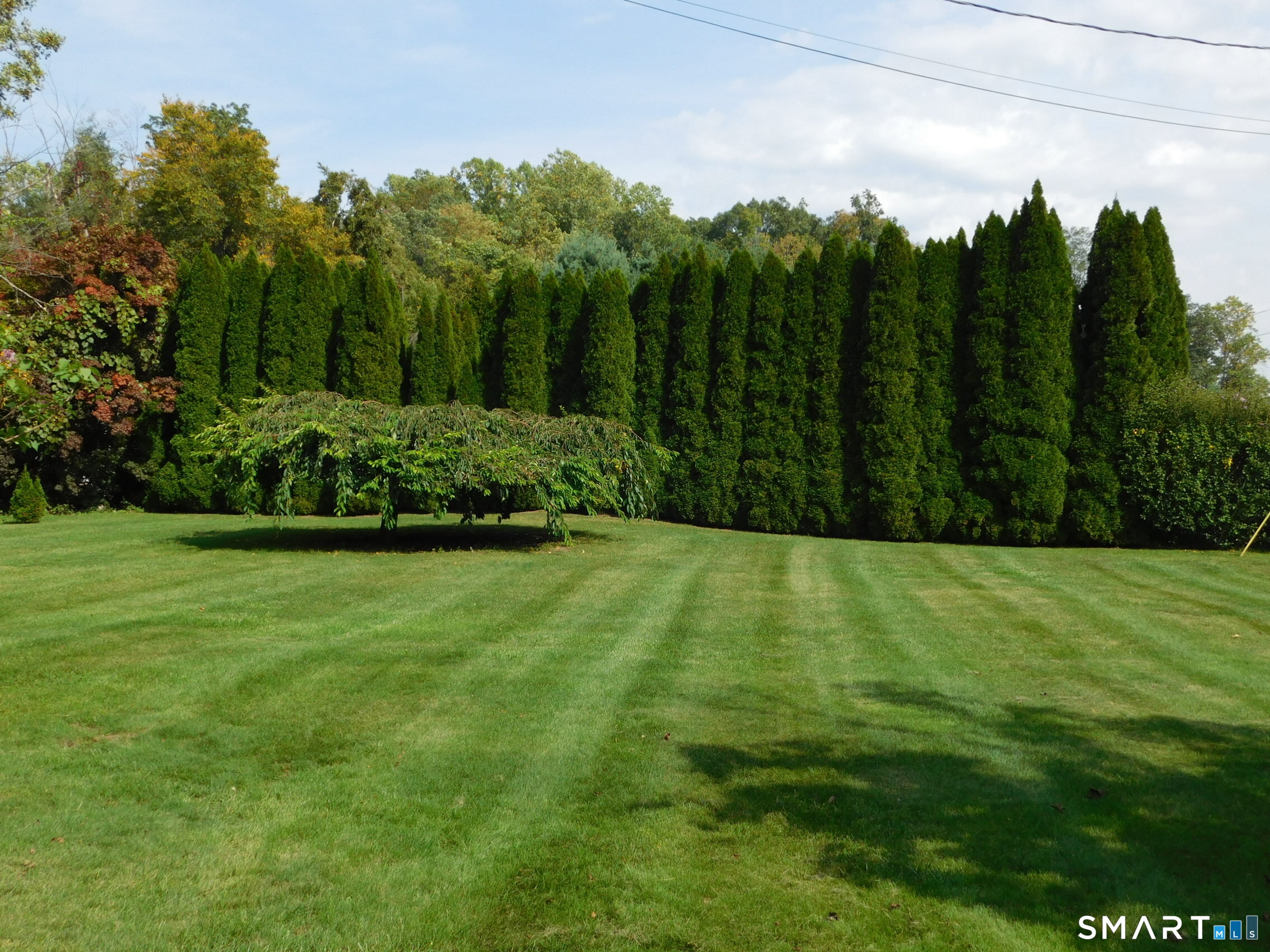 50 Wood Terrace East Haven CT 06513