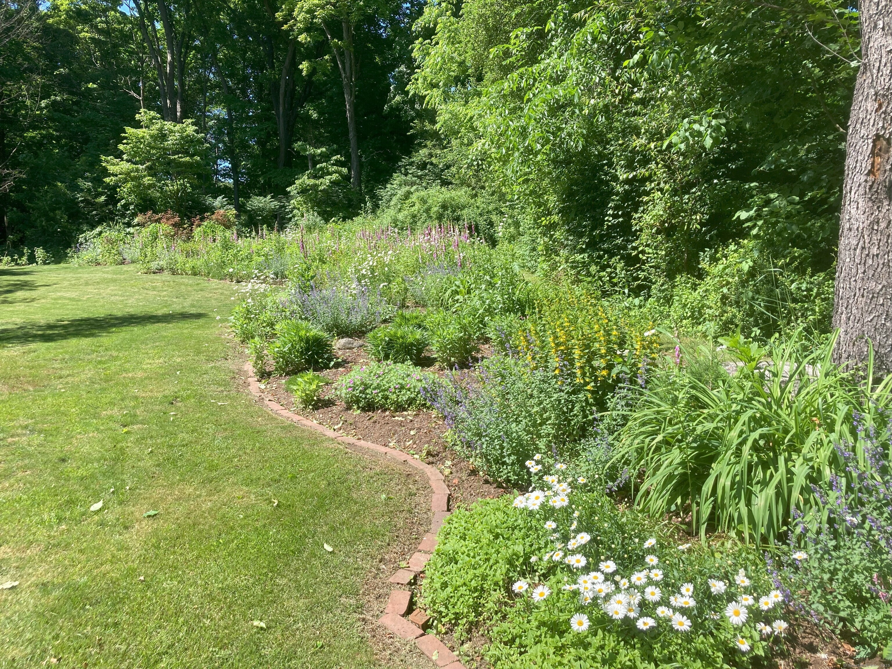 15 Windy Acres Drive Shelton CT 06484