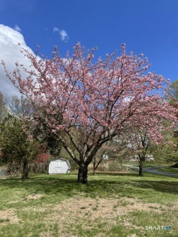 11 Bear Mountain Road New Fairfield CT 06812
