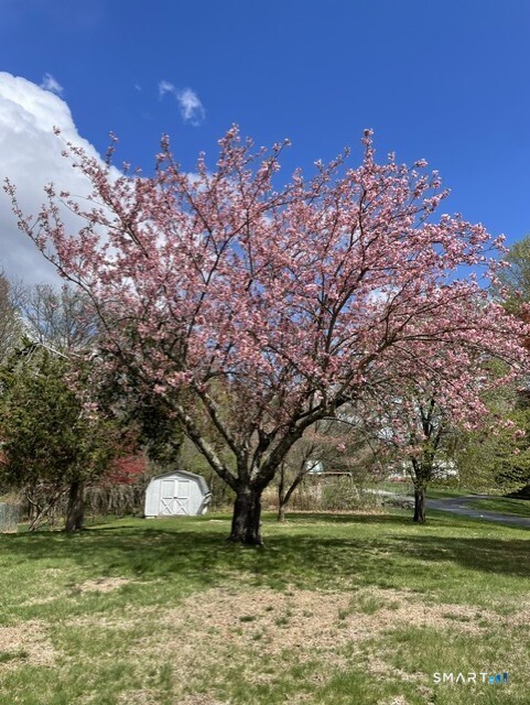 11 Bear Mountain Road New Fairfield CT 06812