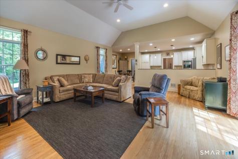 7 Pinnacle Drive Newtown CT 06470