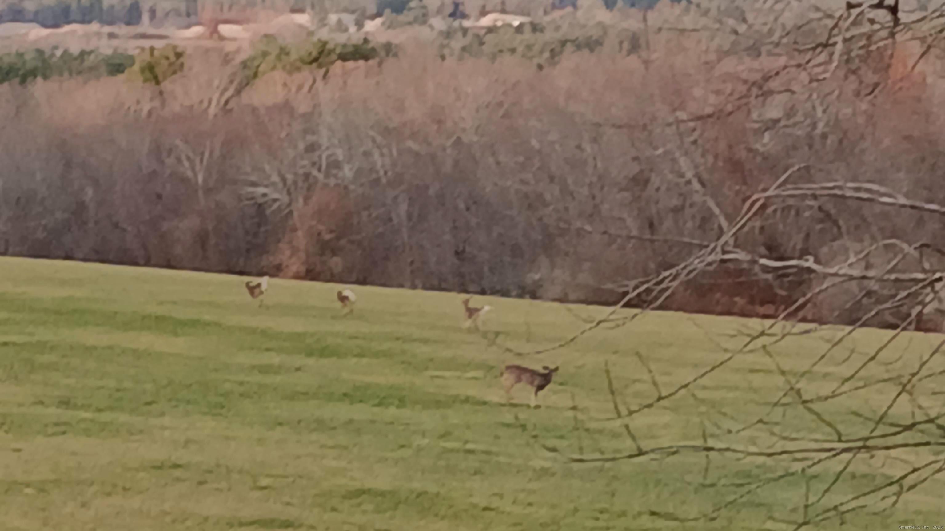 63 Glebas Road Plainfield CT 06374