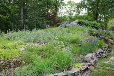 31 Hunter Lane Ridgefield CT 06877