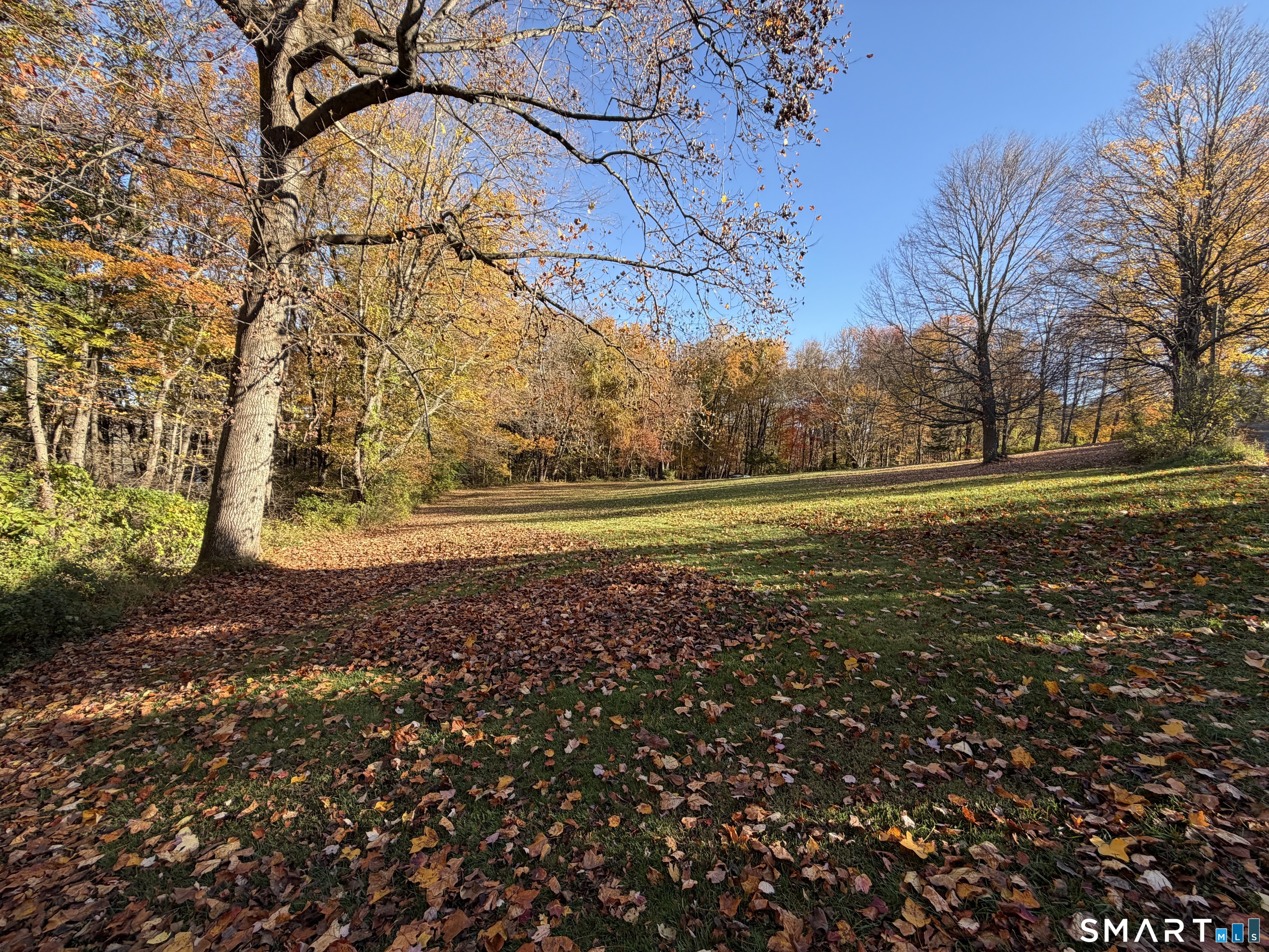 255 Shadduck Road Naugatuck CT 06770