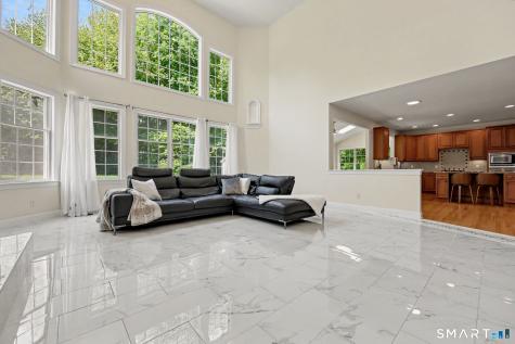 60 Wabuda Place Shelton CT 06484