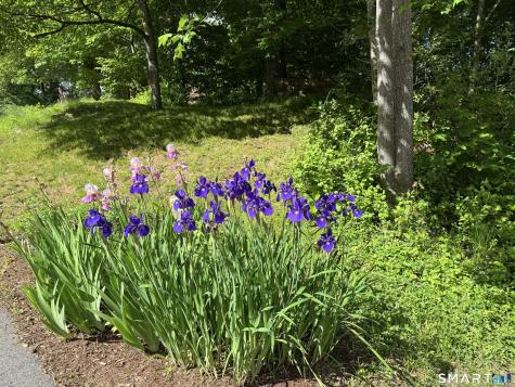 31 Cortland Drive New Milford CT 06776