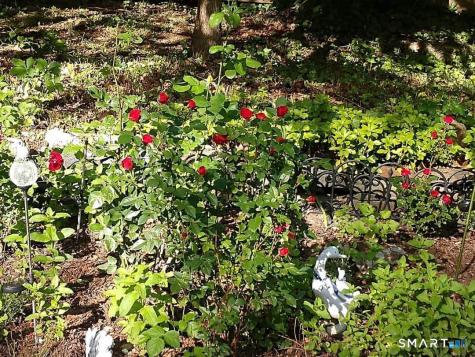 17 Route 6 Columbia CT 06237