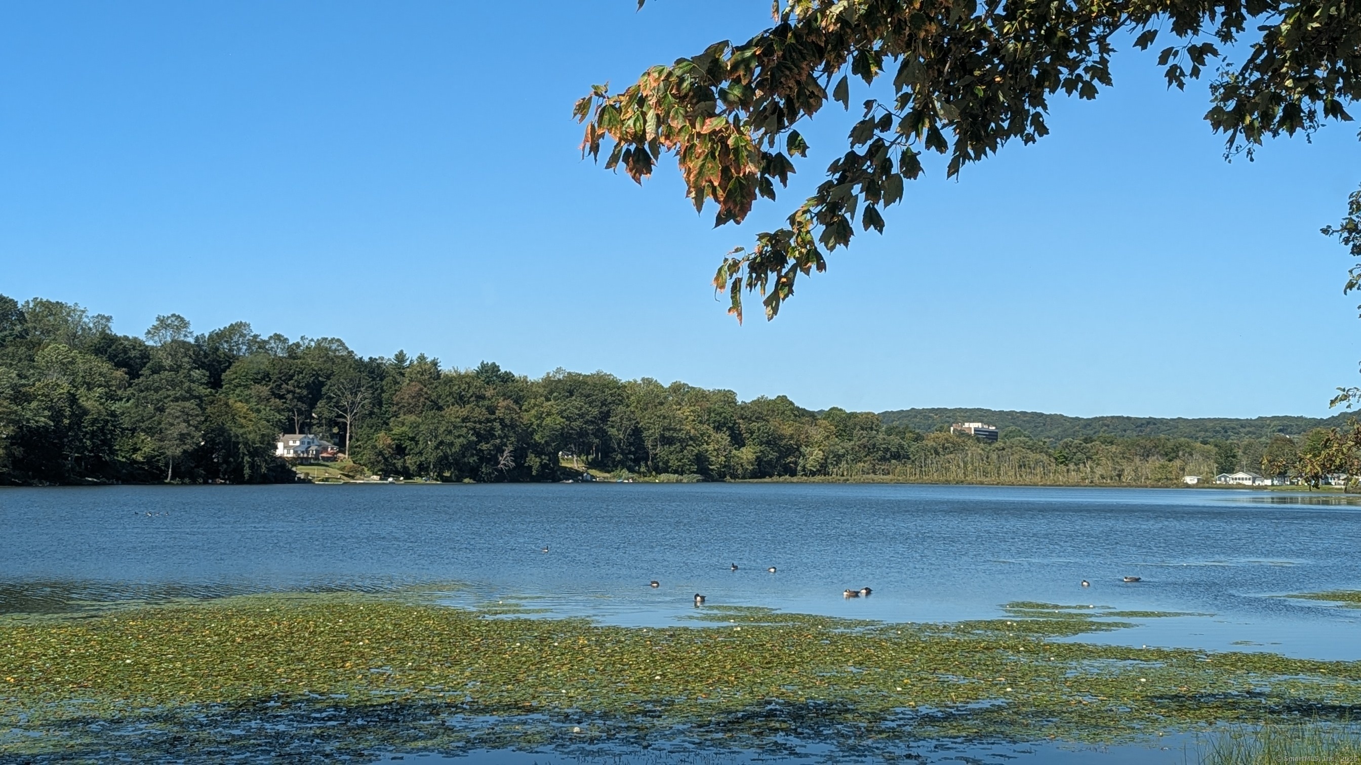 44 Boulevard Drive Danbury CT 06810