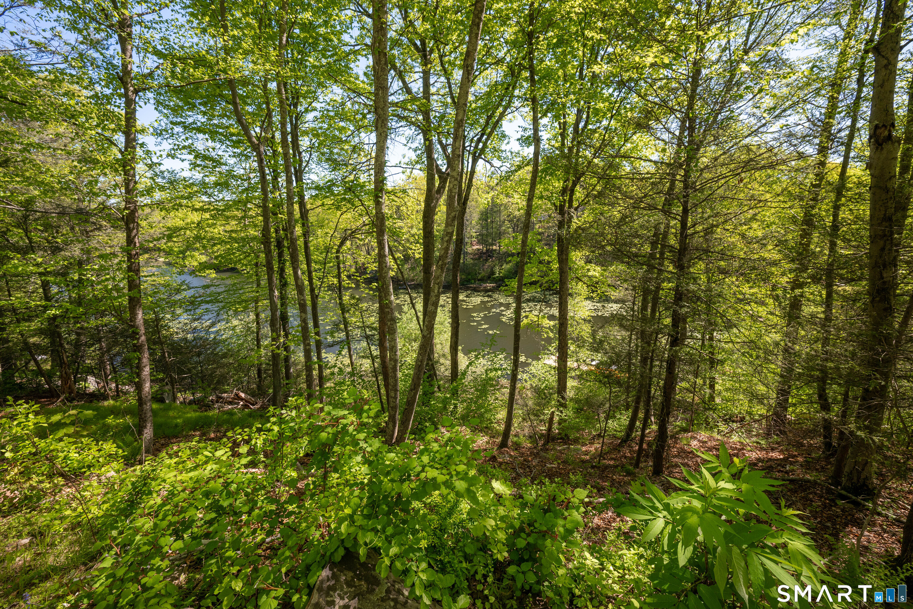 34 Carol Street Danbury CT 06810