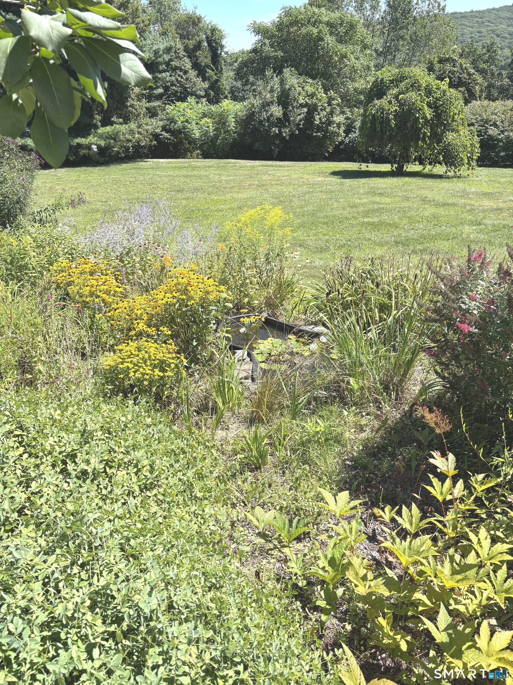 36 Barnes Hill Road Burlington CT 06013