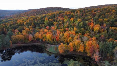 62 Big Bear Hill Road New Milford CT 06776