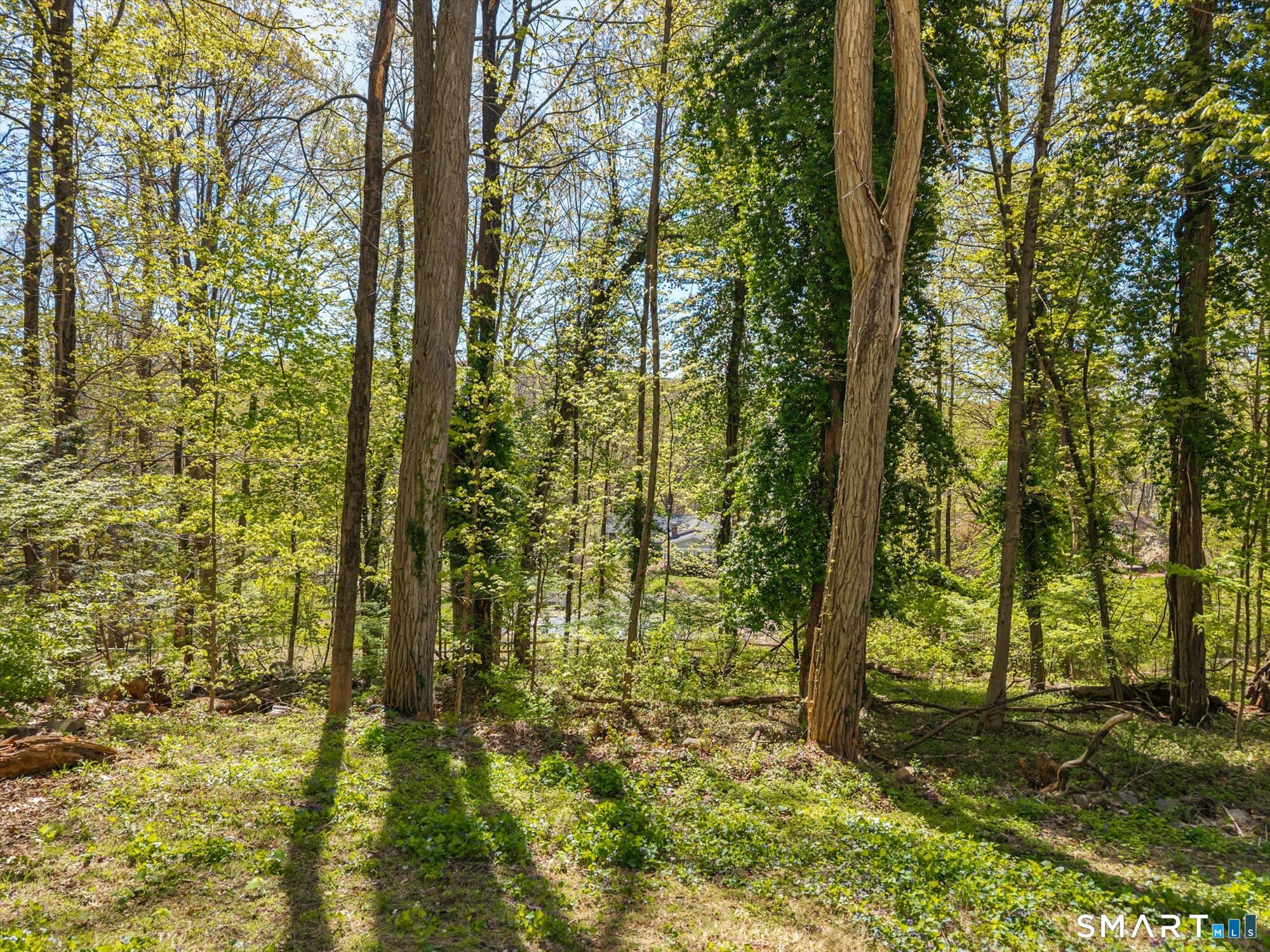 93 Torrington Avenue Canton CT 06019