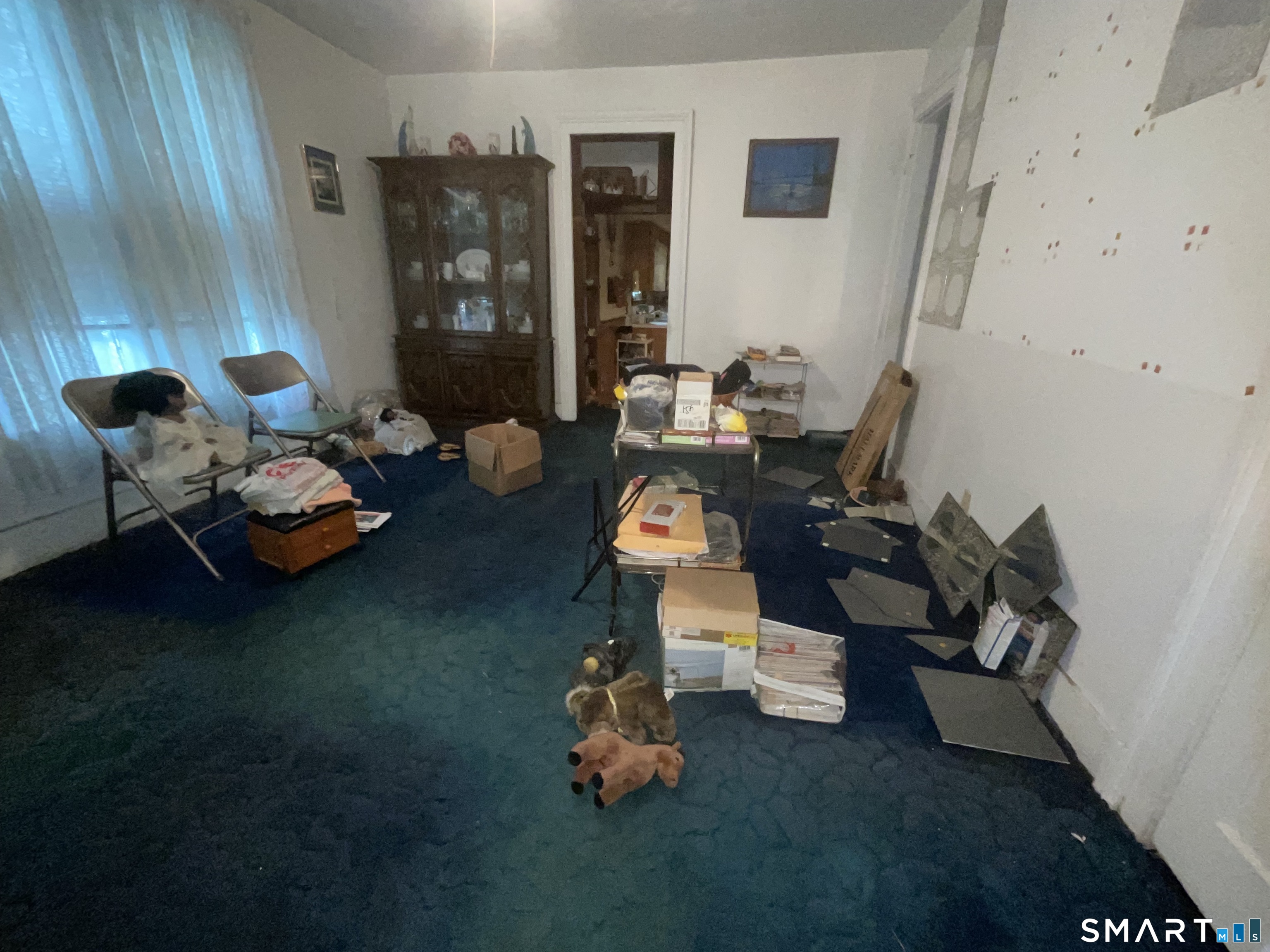 554 Orchard Street New Haven CT 06511