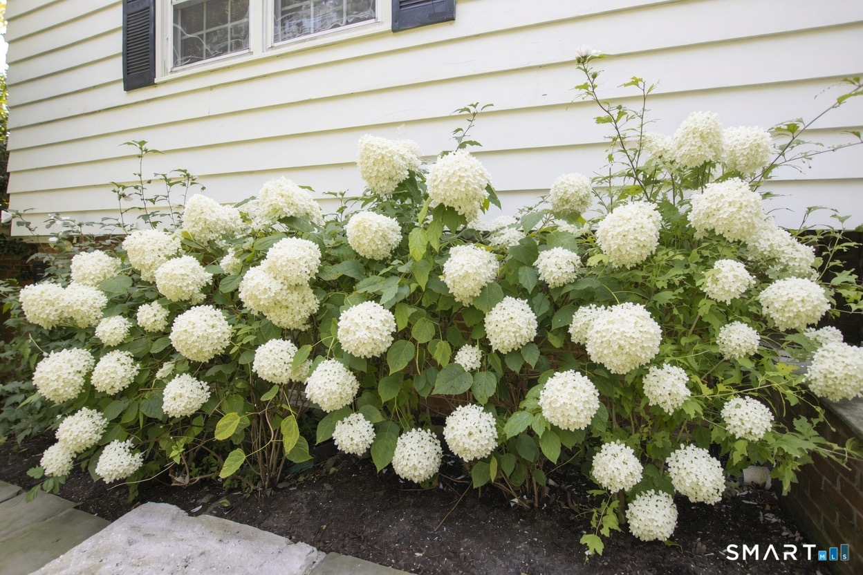 10 Blackberry Lane Norwalk CT 06850