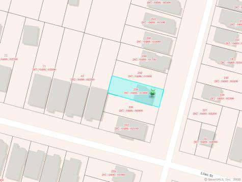 238 Newhall Street New Haven CT 06511