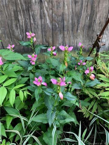 81 Currituck Road Newtown CT 06470