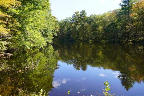 80 Lynch Road Chaplin CT 06235