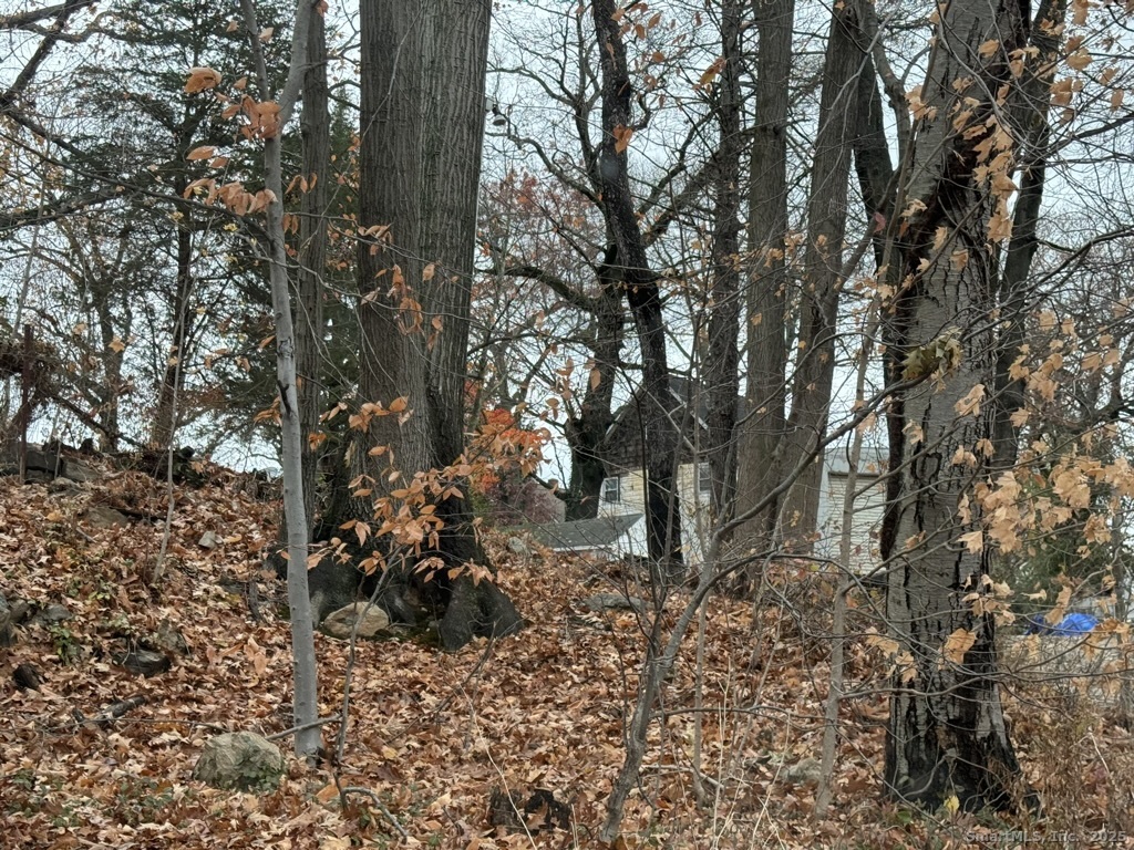 54 Agnes Street Bridgeport CT 06606