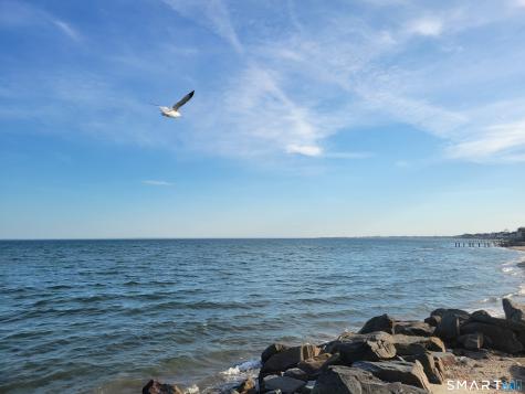 63 Stowe Avenue Milford CT 06460
