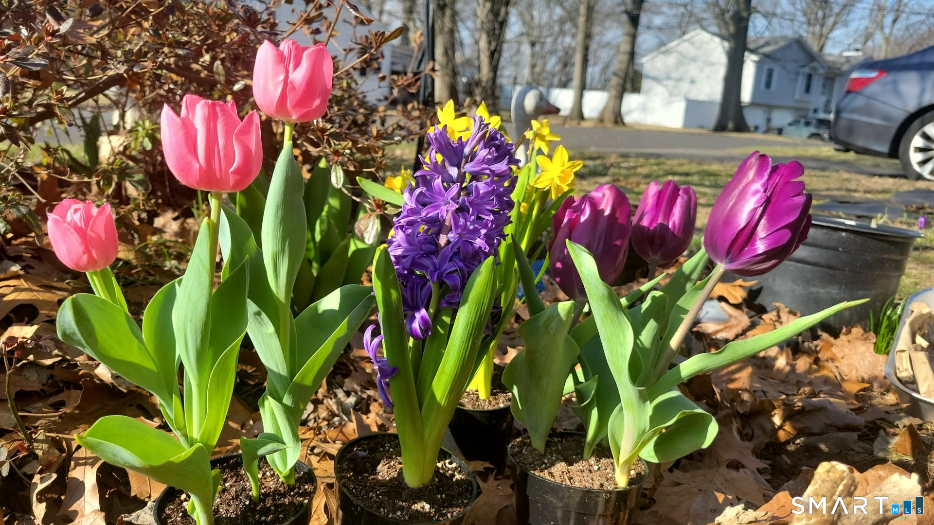 63 Stowe Avenue Milford CT 06460