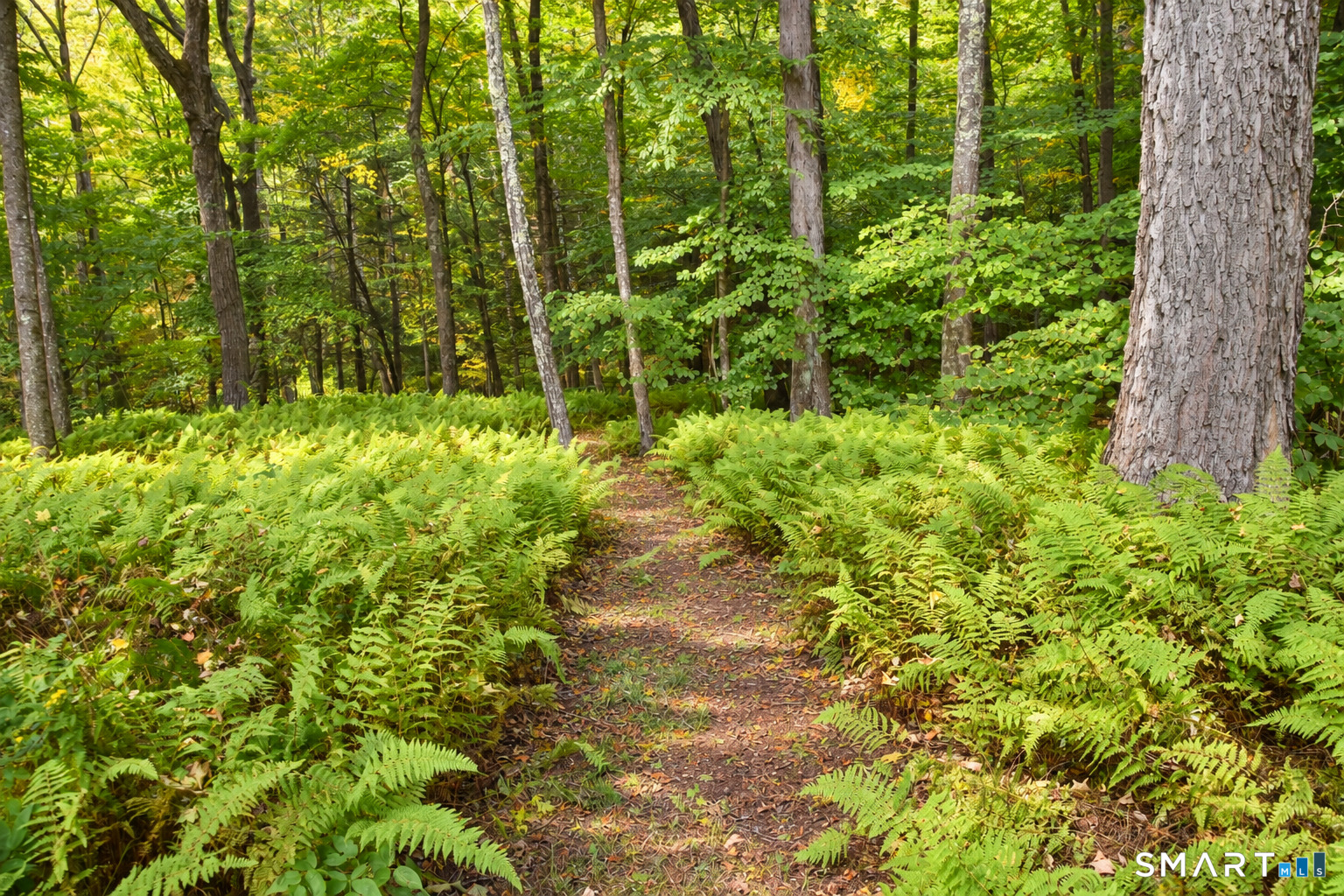 28 Horse Heaven Road Washington CT 06793