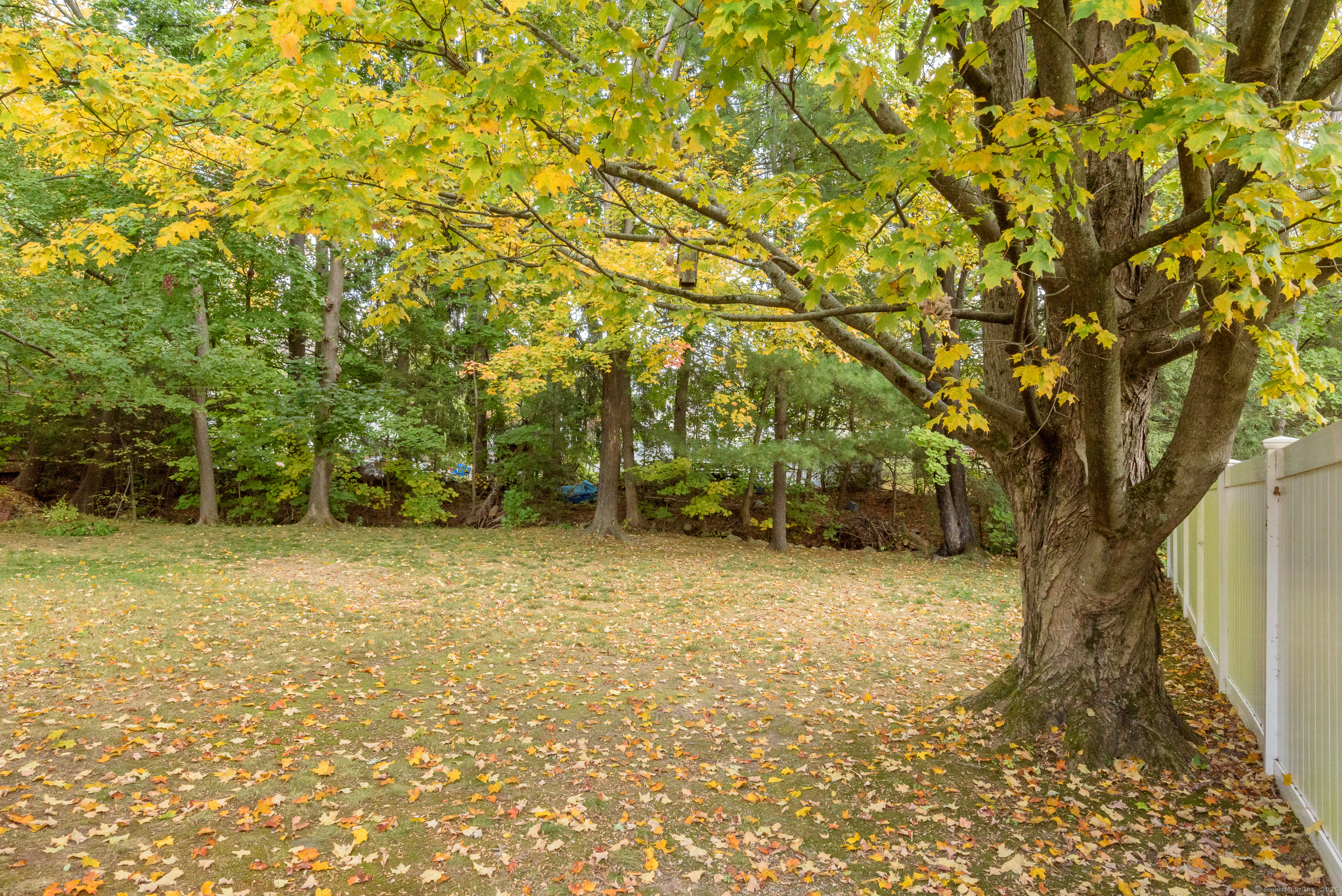 88 Rosemary Lane Bristol CT 06010