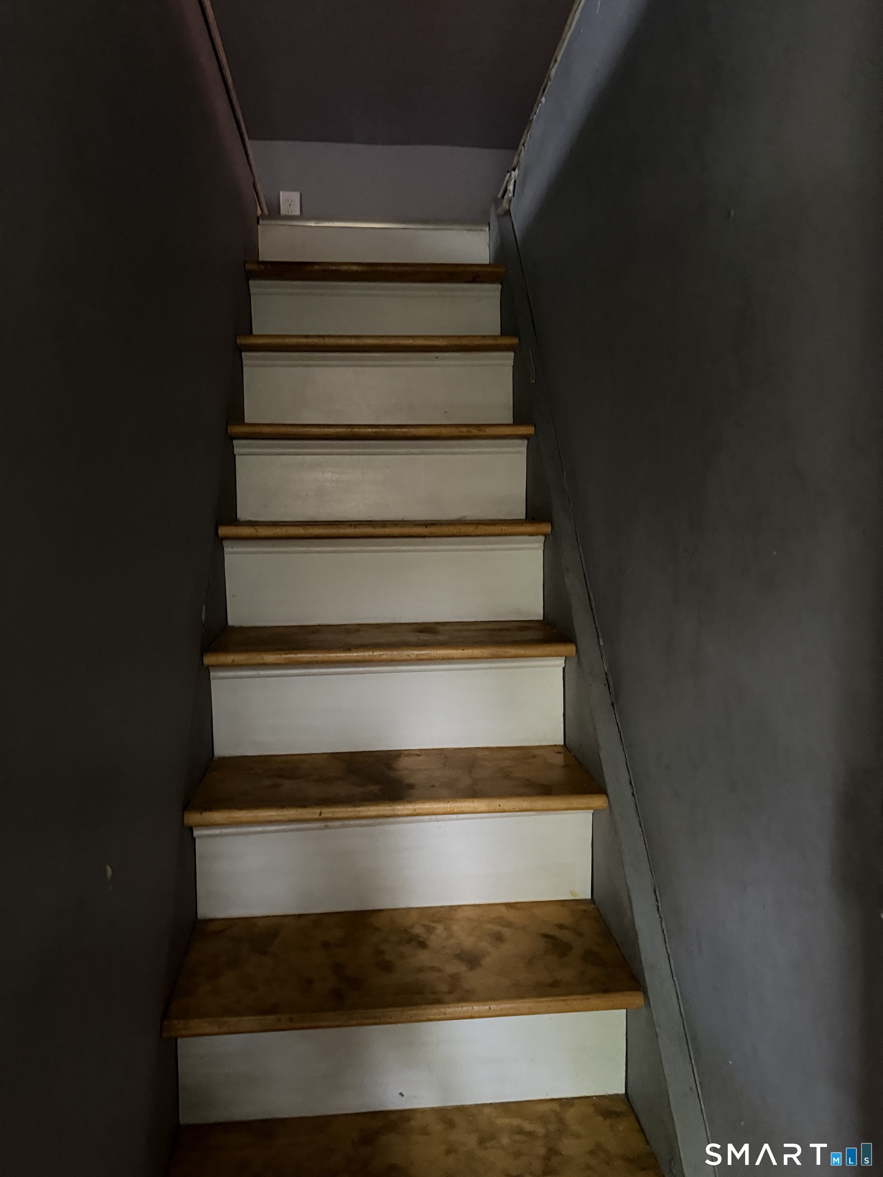 331 Munson Street New Haven CT 06511