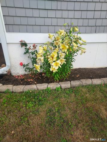 45 Biscayne Boulevard Old Lyme CT 06371