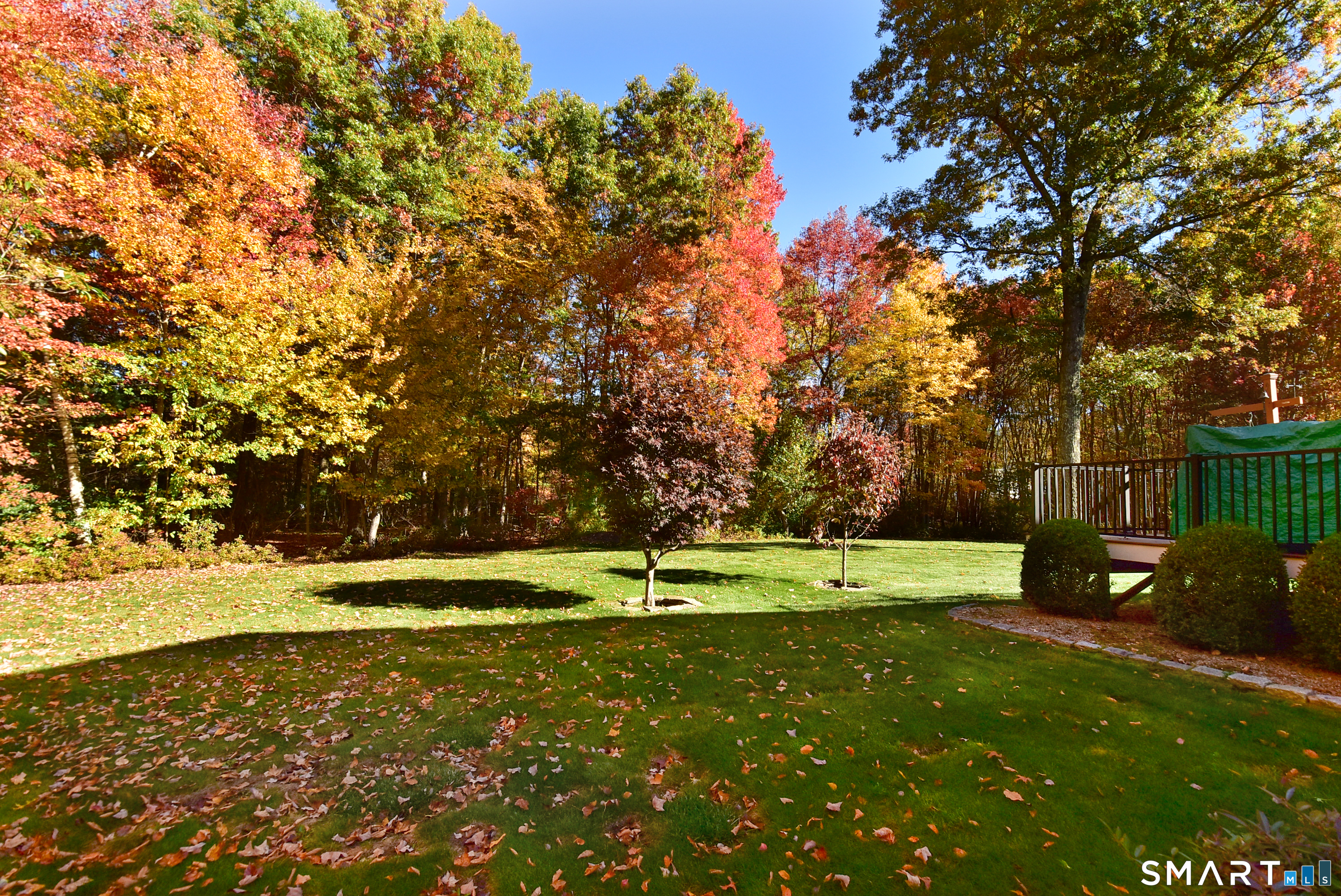 65 Mountain Laurel Drive Tolland CT 06084