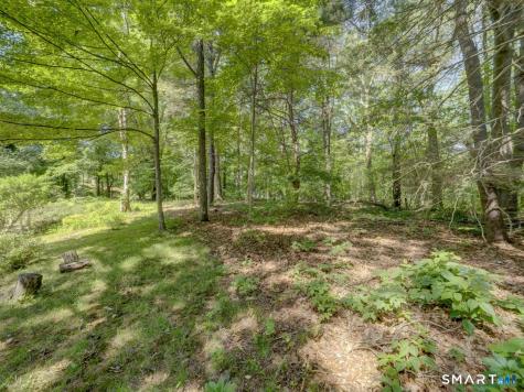 15 Cove Hill Road Essex CT 06426