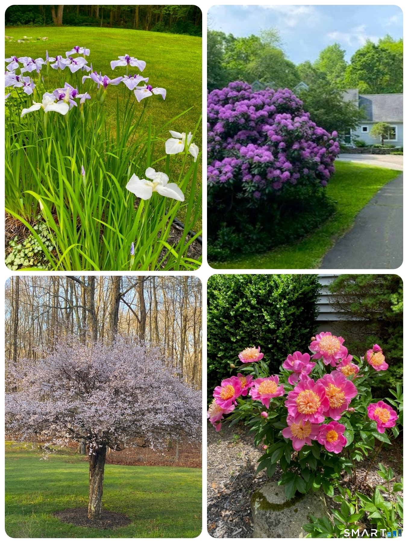 29 Welsch Farms Road Killingworth CT 06419