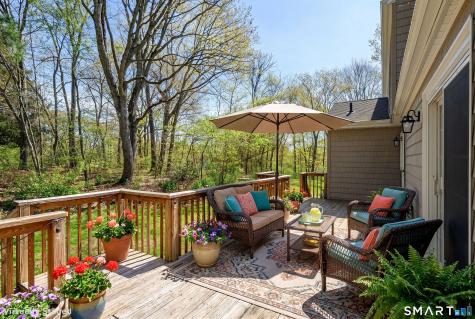 19 Crabapple Lane Newtown CT 06470