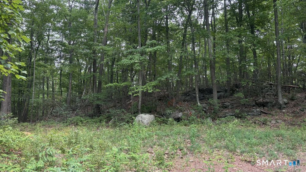 195 Silver Springs Drive Haddam CT 06441