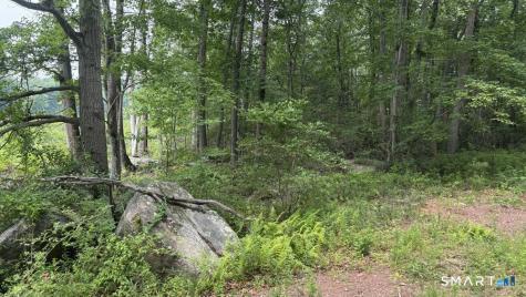 195 Silver Springs Drive Haddam CT 06441