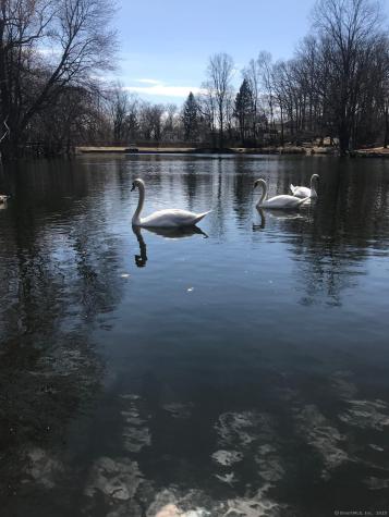 200 Griffin Avenue Bridgeport CT 06606