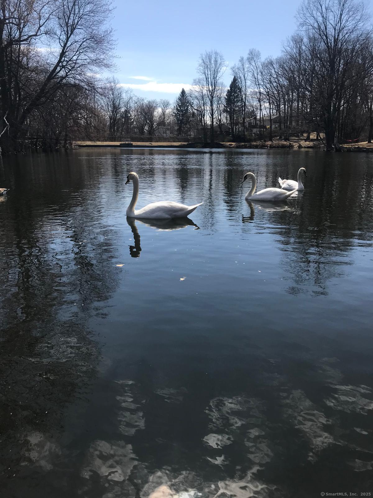 200 Griffin Avenue Bridgeport CT 06606