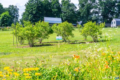 29 Braaten Hill Road Woodstock CT 06281