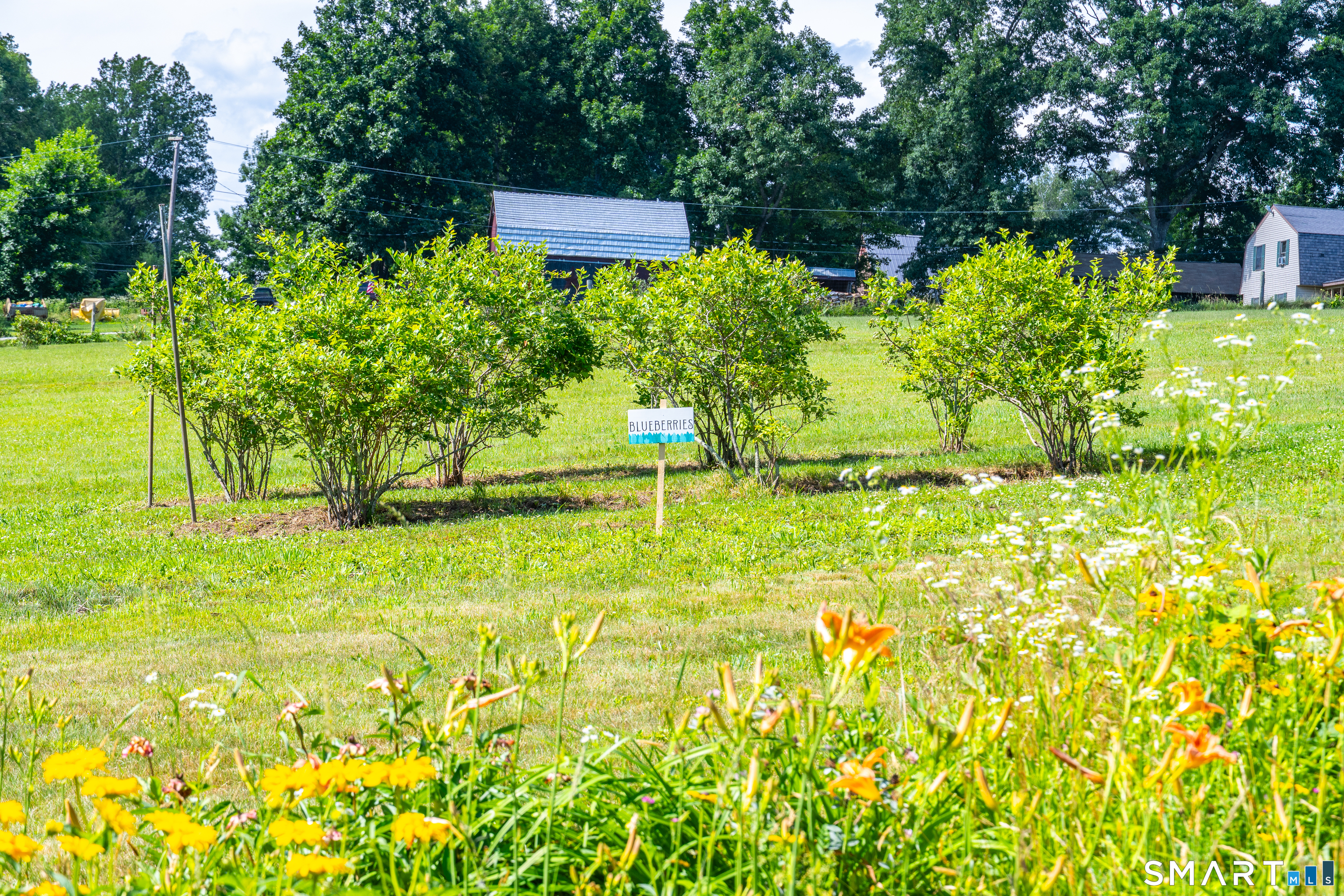 29 Braaten Hill Road Woodstock CT 06281
