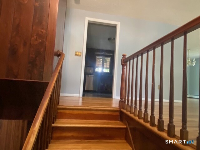 353 South Main Street West Hartford CT 06107